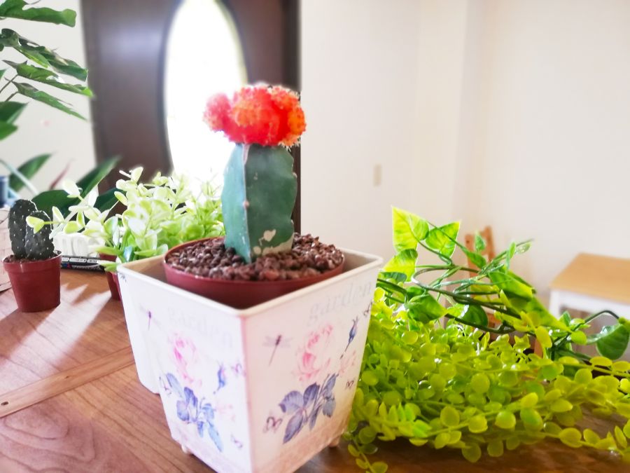 sakura coffeeの内観