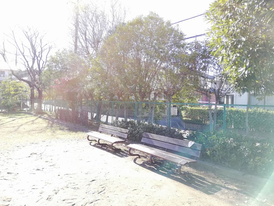 佐倉市　前原公園のベンチ