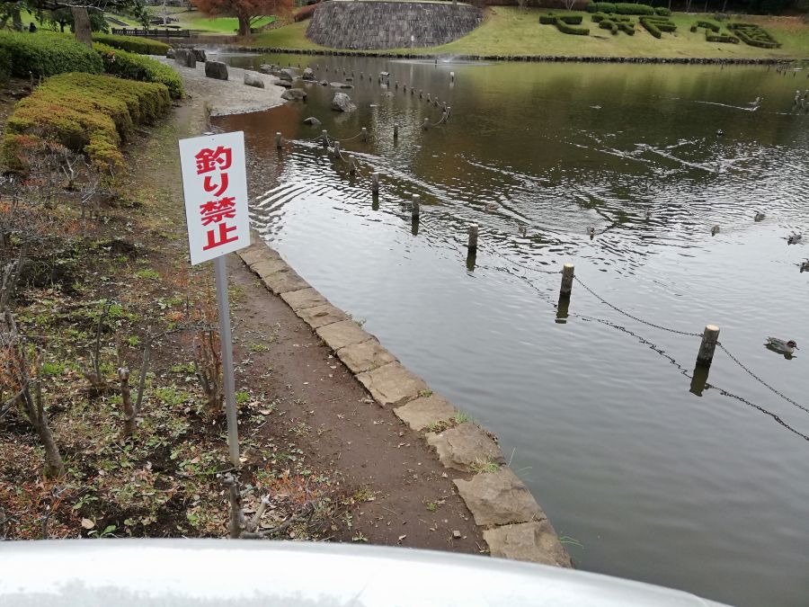 七井戸公園の池は釣り禁止