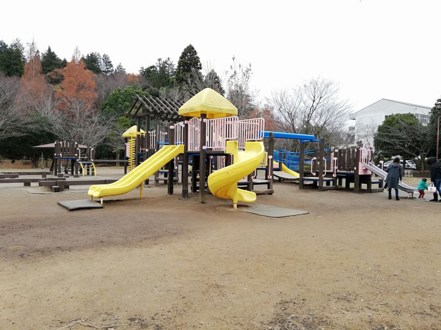 七井戸公園のアスレチック