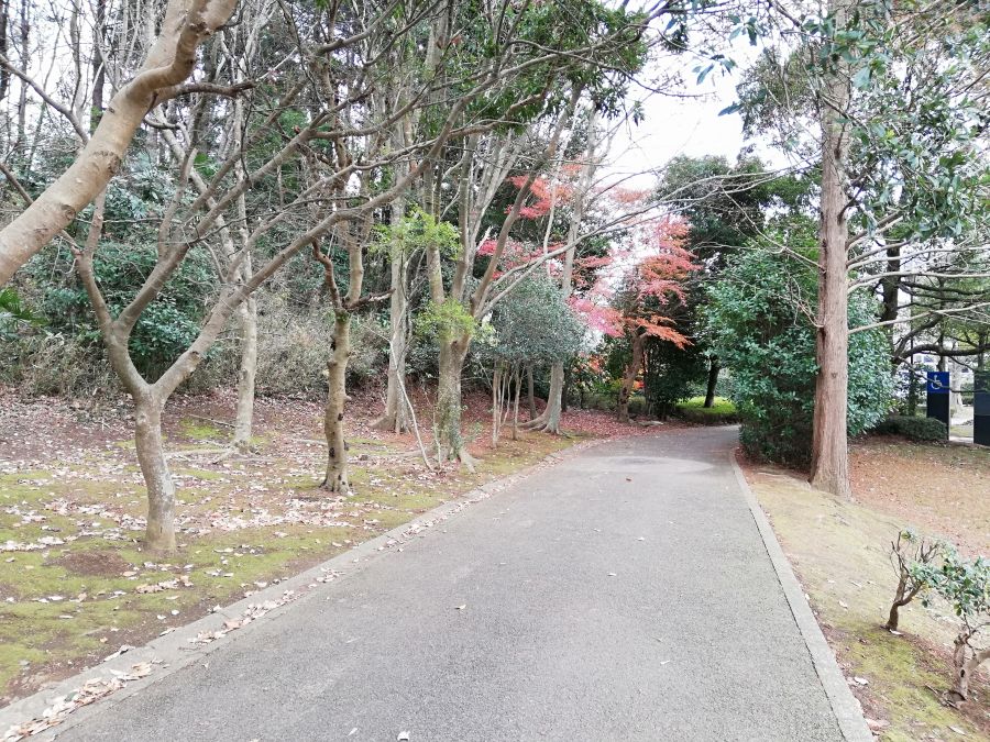 七井戸公園のお散歩道