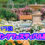 京成バラ園のイベント「スプリングフェスティバル It’s so in Bloom!」4月23日(金)~6月13日(日)まで（八千代緑が丘駅/八千代市）
